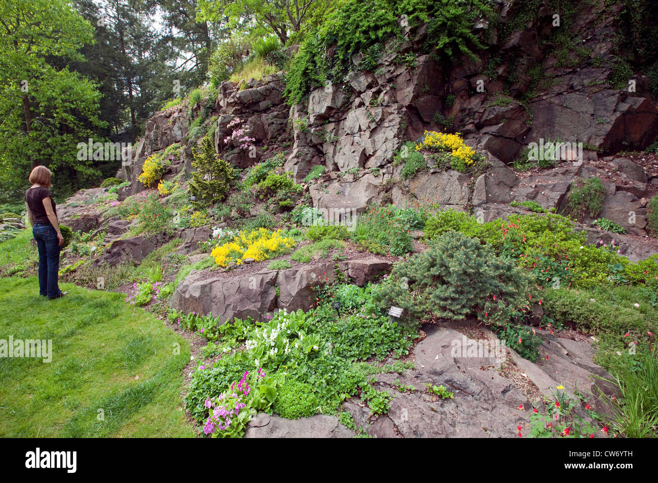 Woman looking at rock garden, Leonard J. Buck Garden - Somerset County Park Commission, Far Hills, New Jersey Stock Photo