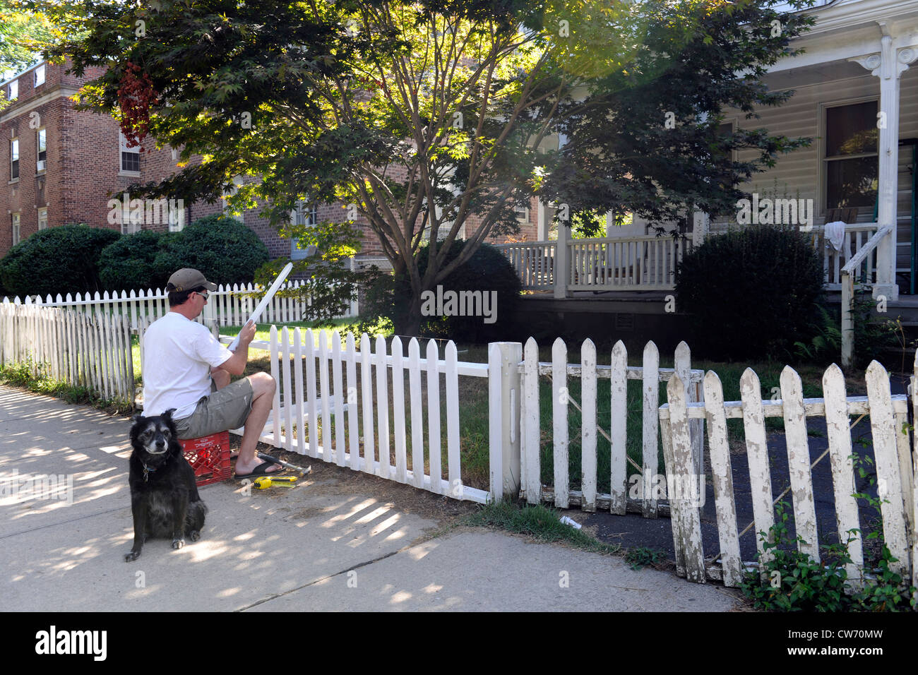 Homeowner rebuilding his fence on Orange Street in East Rock
