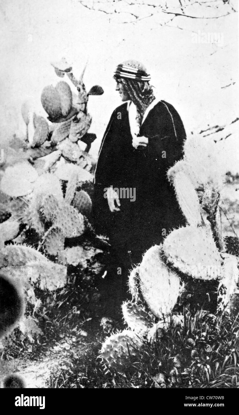 Colonel Lawrence (Lawrence of Arabia). England Stock Photo Alamy