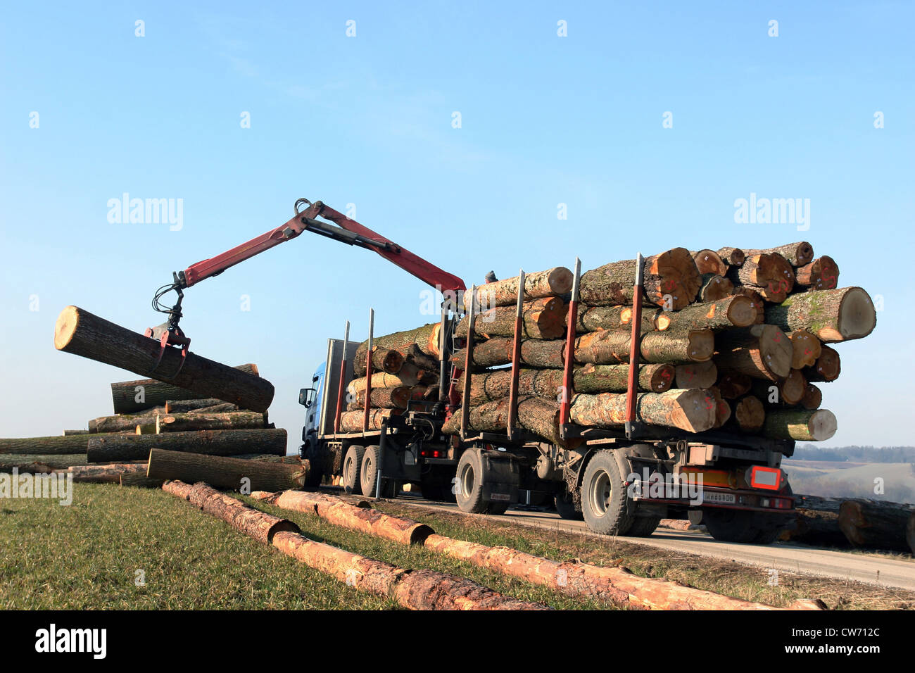 Forestry workers at loading of logs with a crane Stock Photo