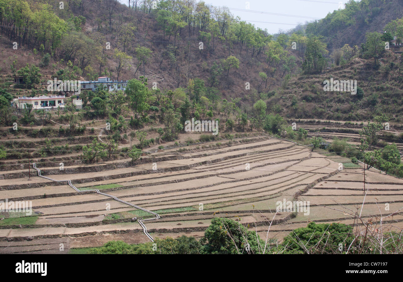 Terrace farming steep hi-res stock photography and images - Alamy