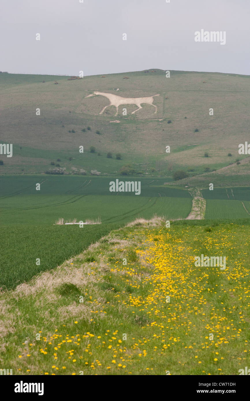 Vale of Pewsey: 'White Horse' Stock Photo