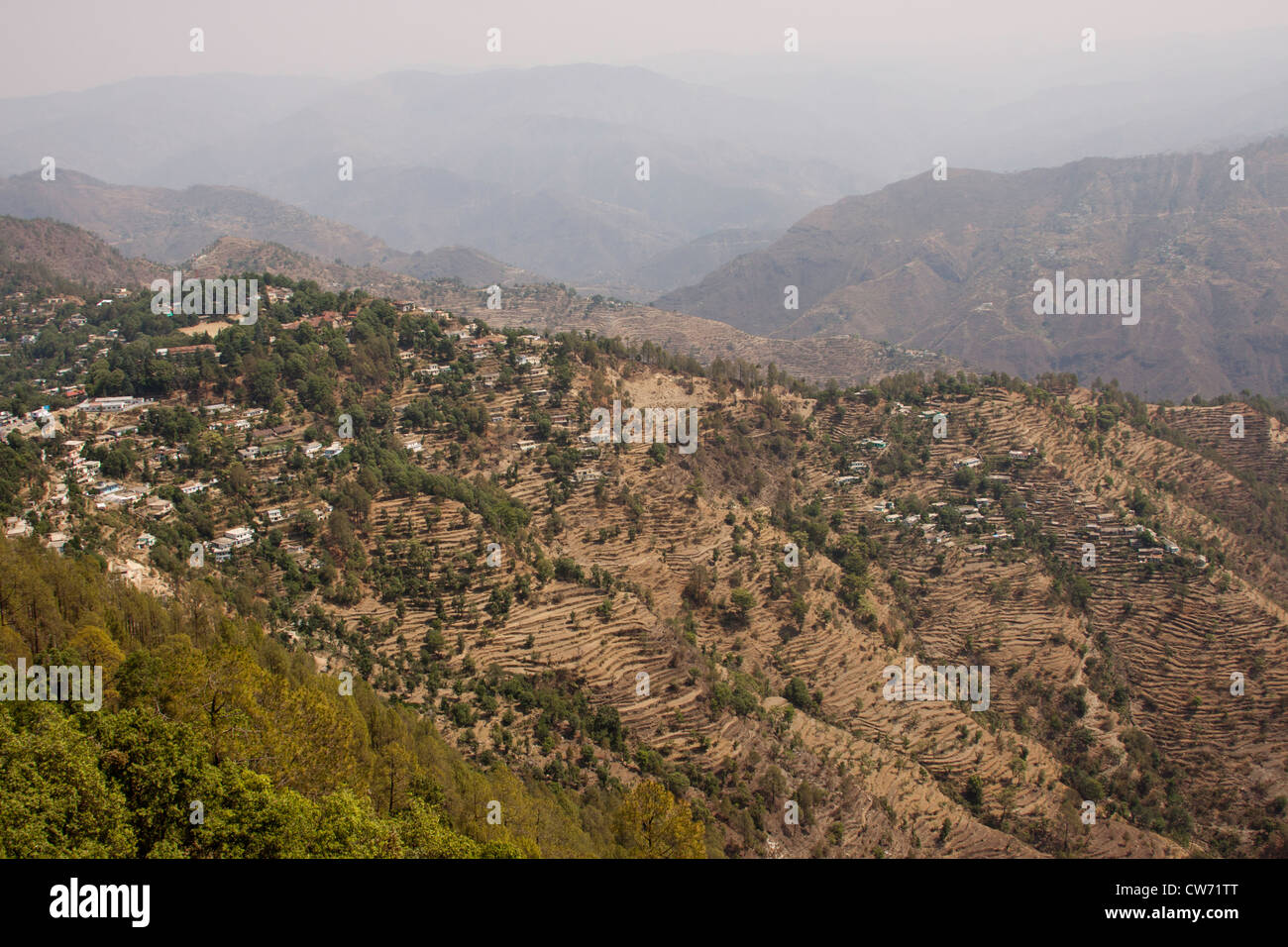 View of stepped farming, visible from the heights of Tip n Top in Lansdowne in Uttarakhand in North India, in the Himalayas. Stock Photo
