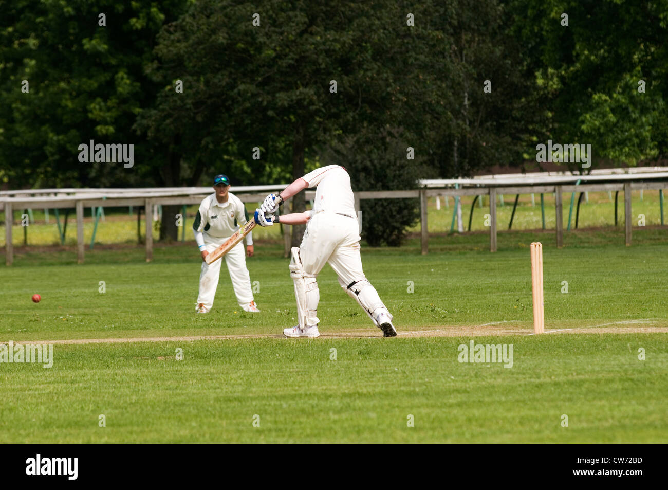 cricket match village green play playing players bat batsman bowler