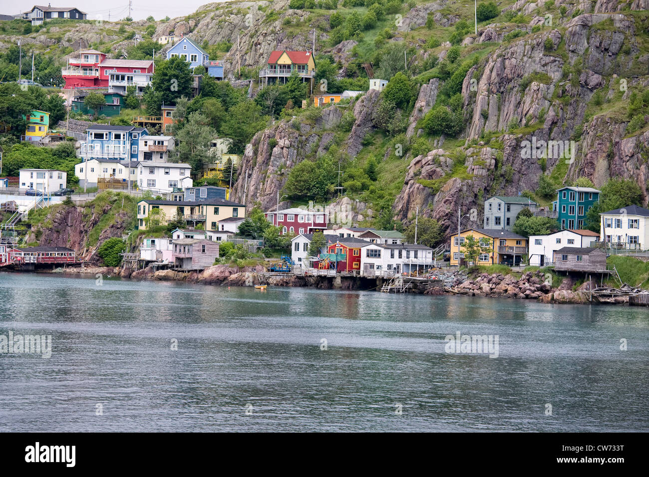 Colorful houses on the rocky shore of Signal Hill facing the harbour in