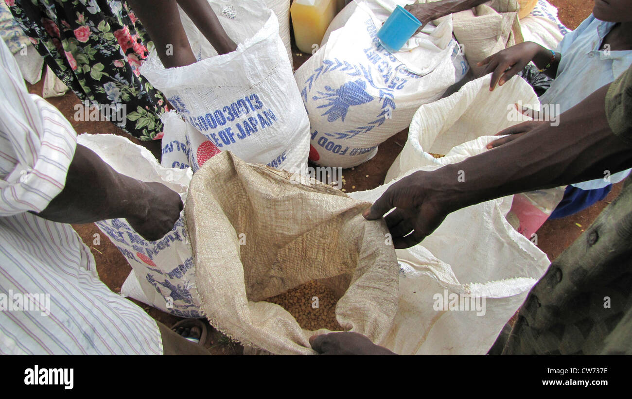 refugee camp for internally displaced people in northern Uganda around Gulu, the non-governmental organisation 'Norwegian Refugee Council' is distributing food rations for the UN World Food Programme for elderly and hancicapped people, bags with mais, Uganda, Gulu, Gulu Stock Photo