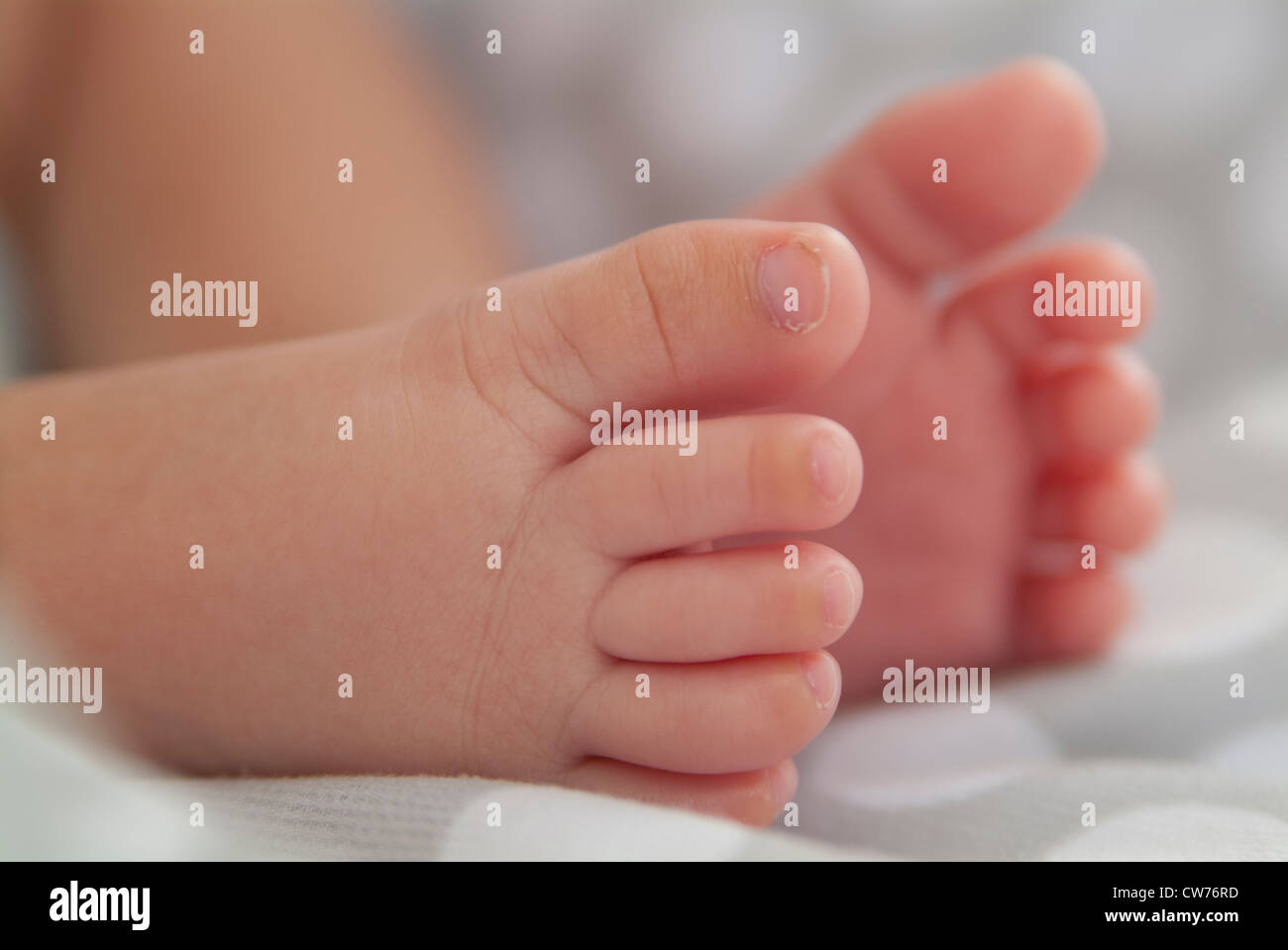 Detail of the feet of a baby Stock Photo - Alamy