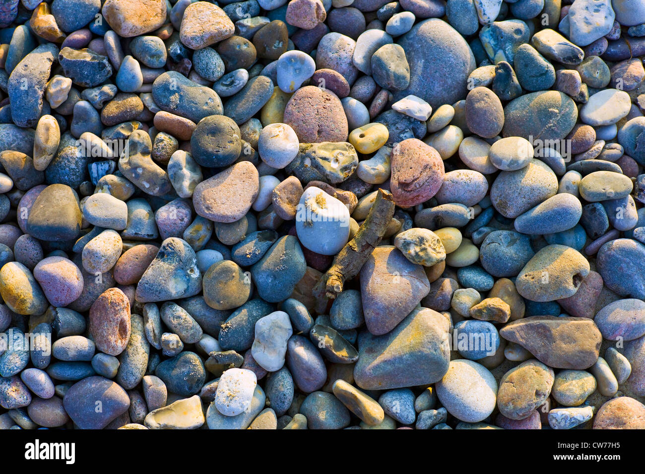 stones on Baltic Sea beach, Germany, Mecklenburg-Western Pomerania, Bad Doberan Stock Photo