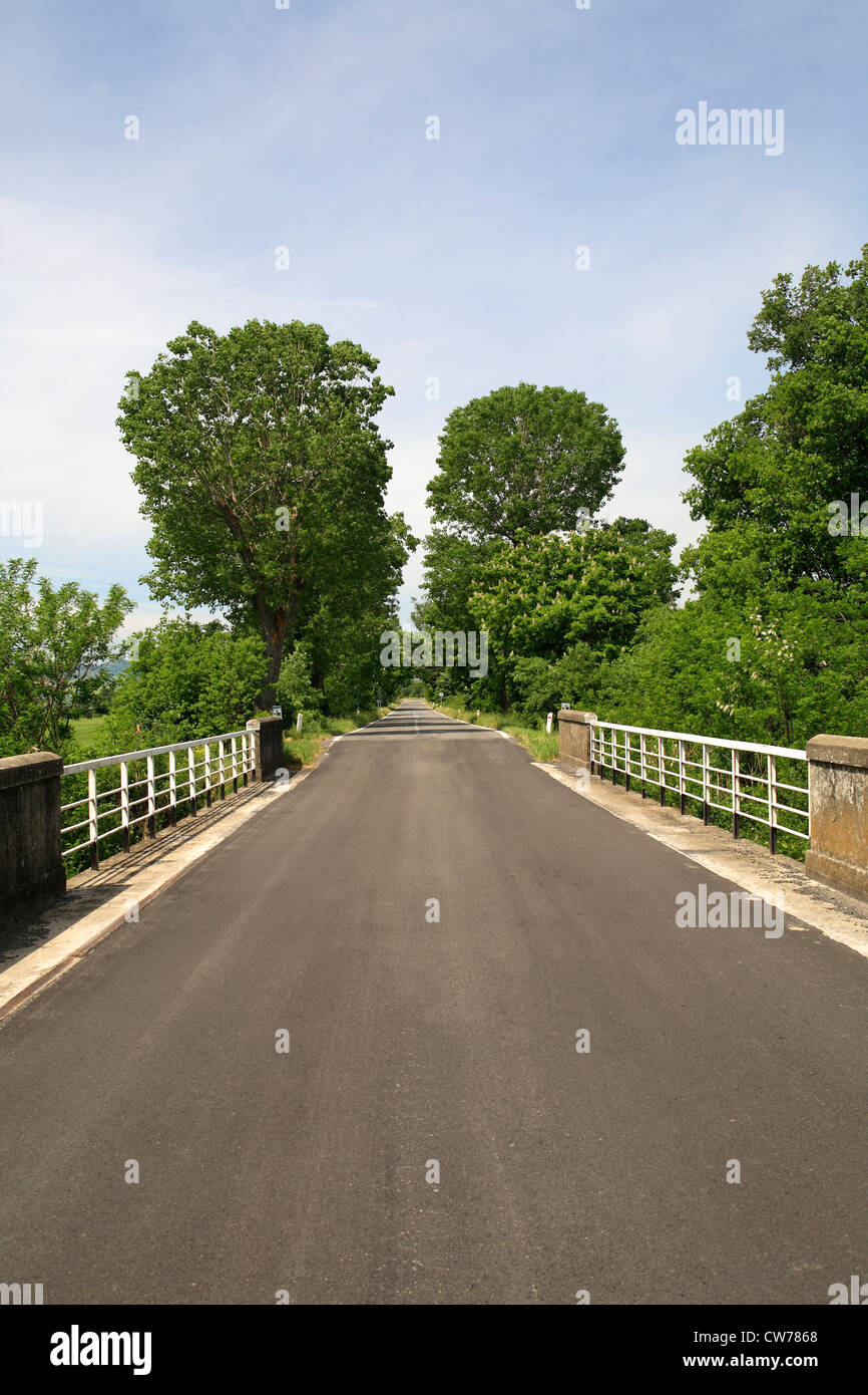 driveway to a traditionell cottage, Italy, Tuscany Stock Photo