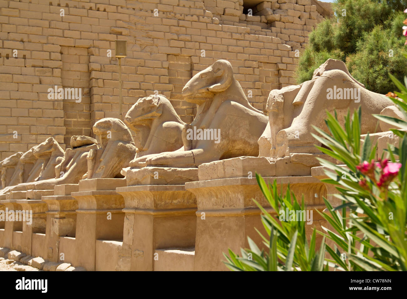 Karnak temple with ancient egypt hieroglyphics Stock Photo