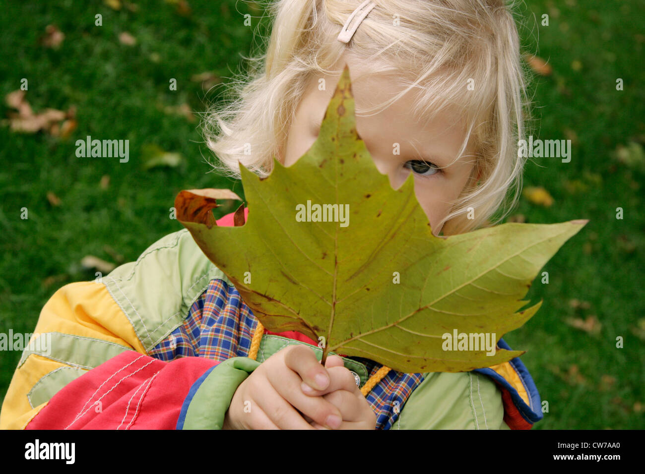 little girl hiding behind autumn leaf, Germany Stock Photo