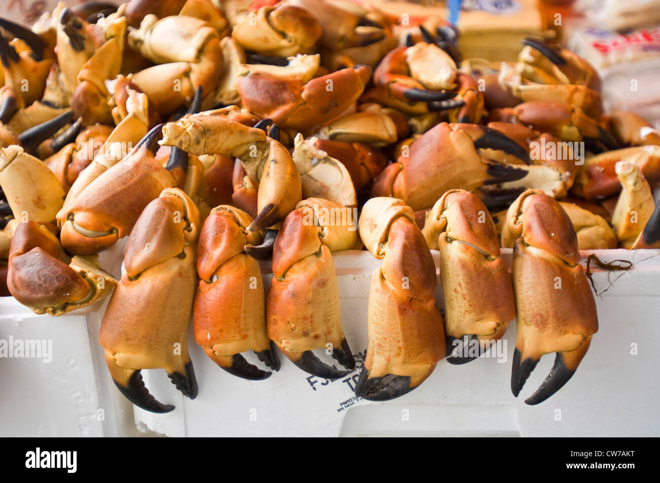 crab claws at the fish market , Norway, Bergen Stock Photo - Alamy