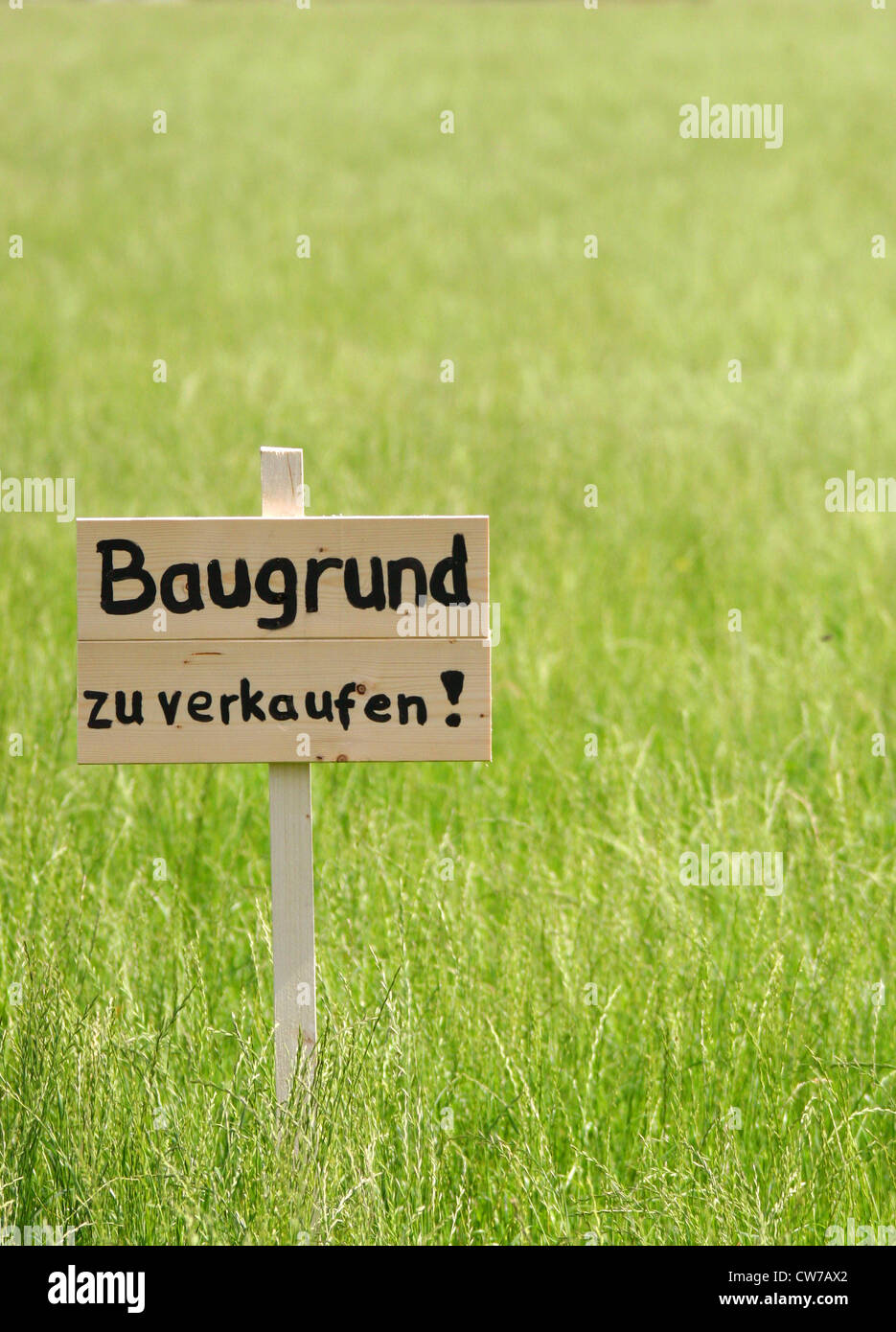 Plot of land for sale Stock Photo Alamy