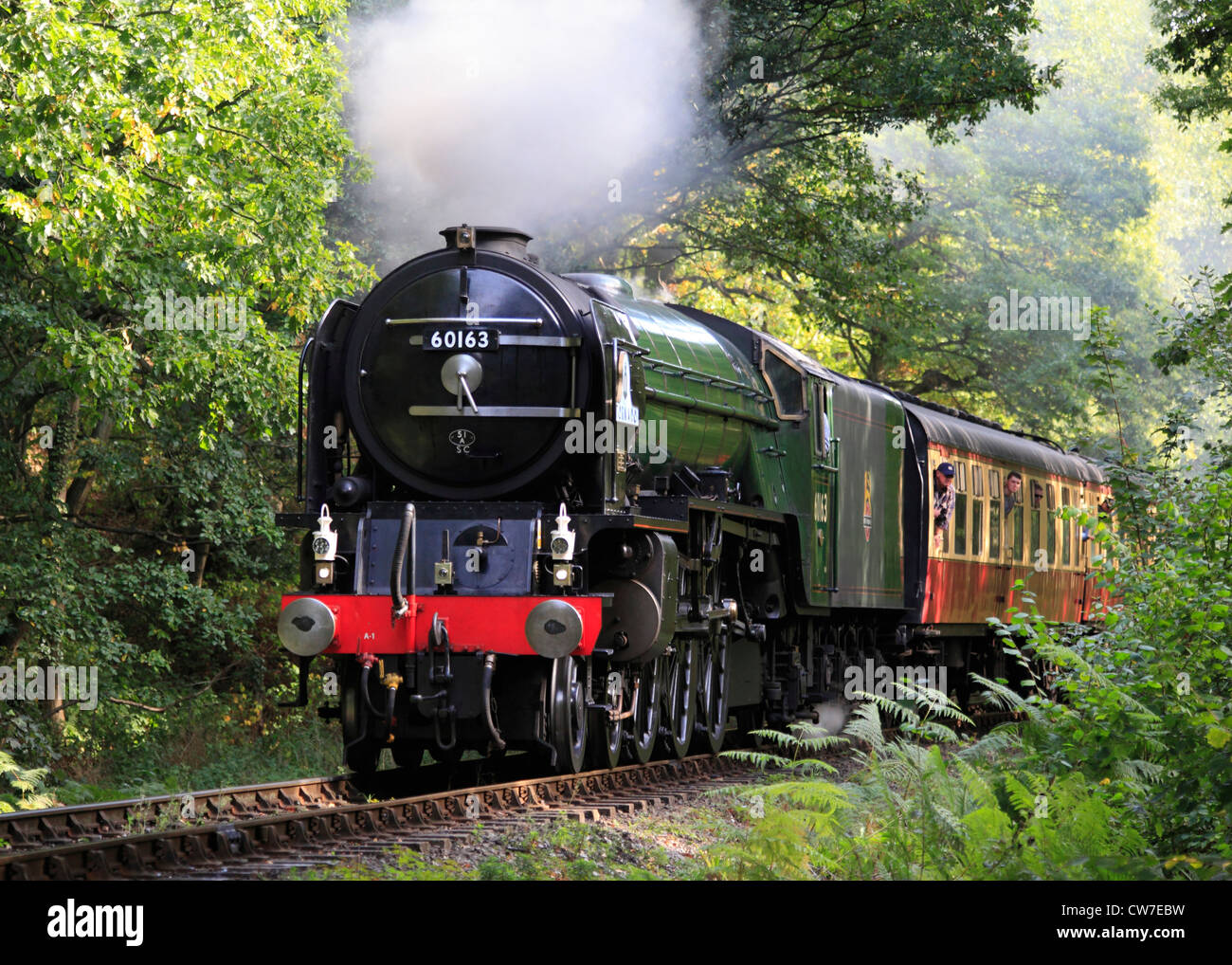 'New Build' Peppercorn A1 'Pacific' No. 60163 Tornado steams through Northwood on the Severn Valley Railway Stock Photo