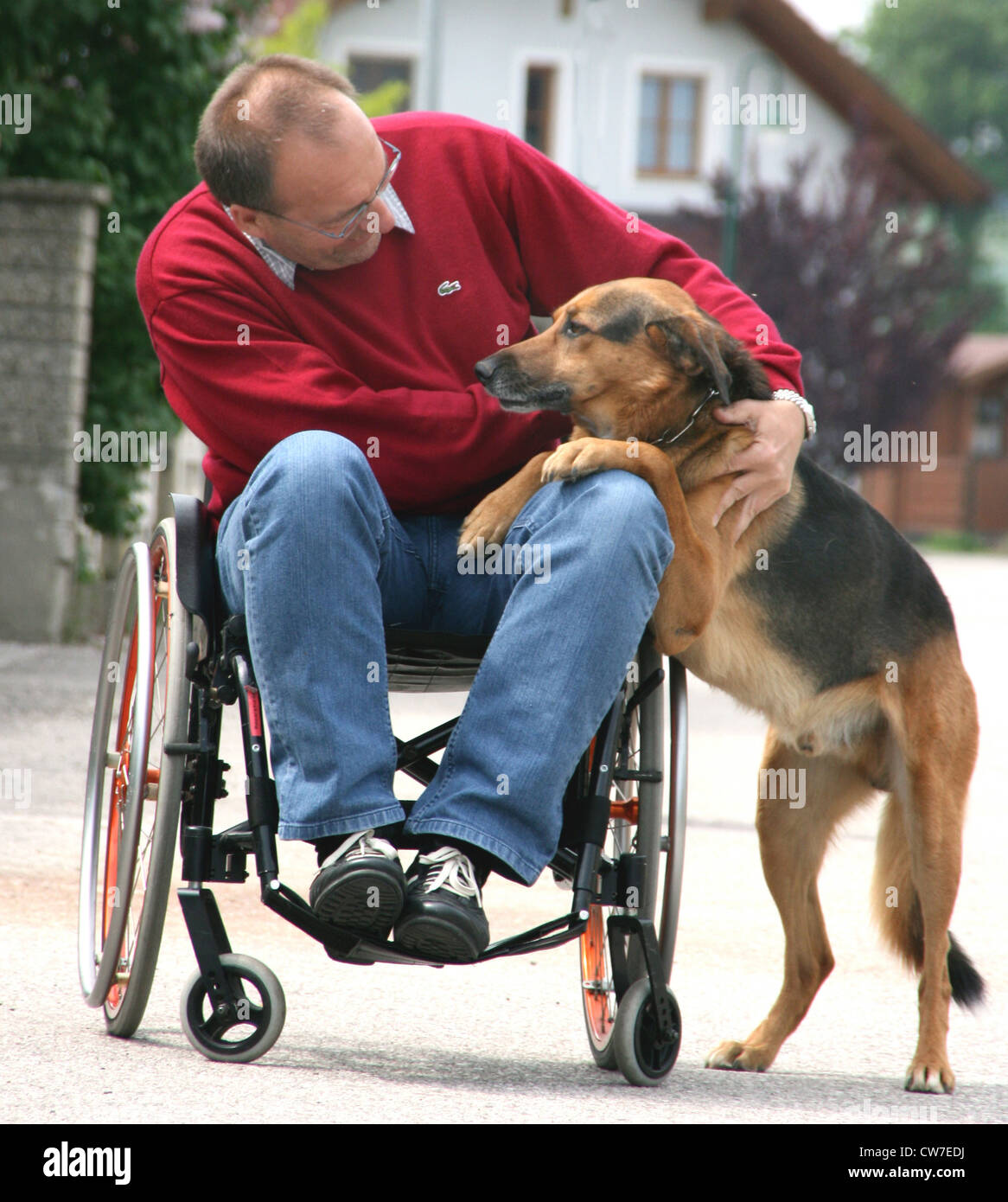 man in a wheelchair with dog Stock Photo