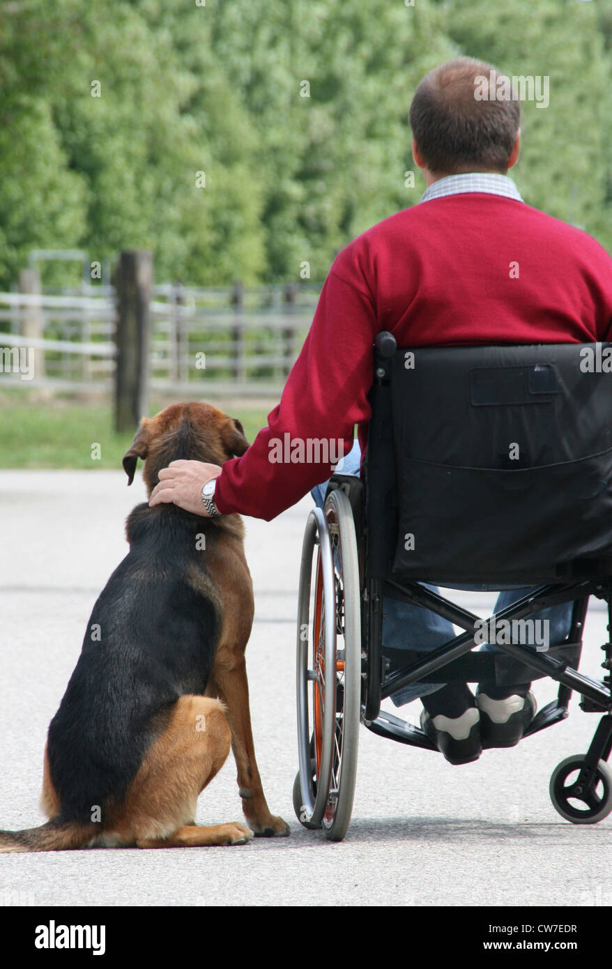 man in a wheelchair with dog Stock Photo