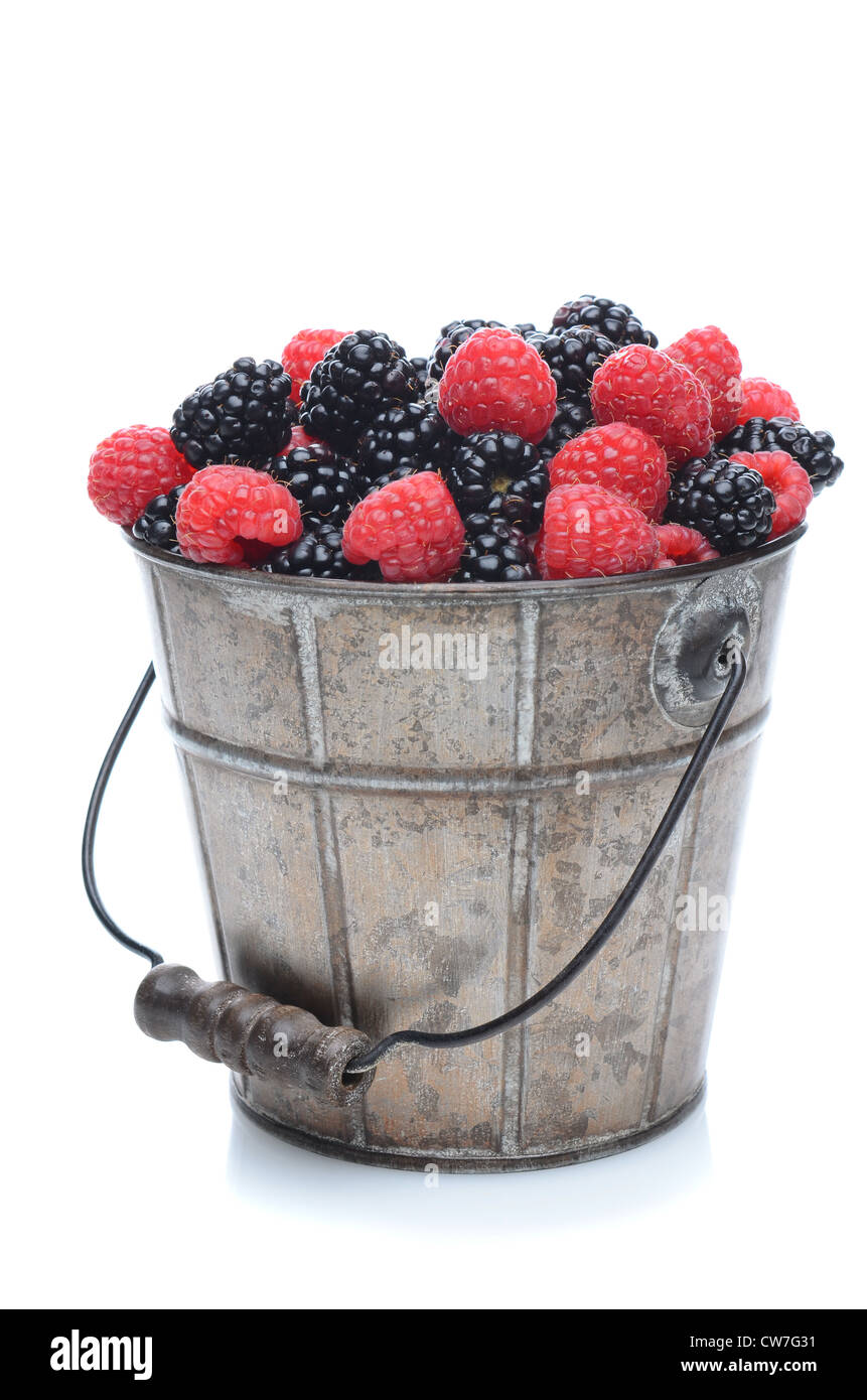 A pail full of freshly picked blackberries and raspberries. Stock Photo
