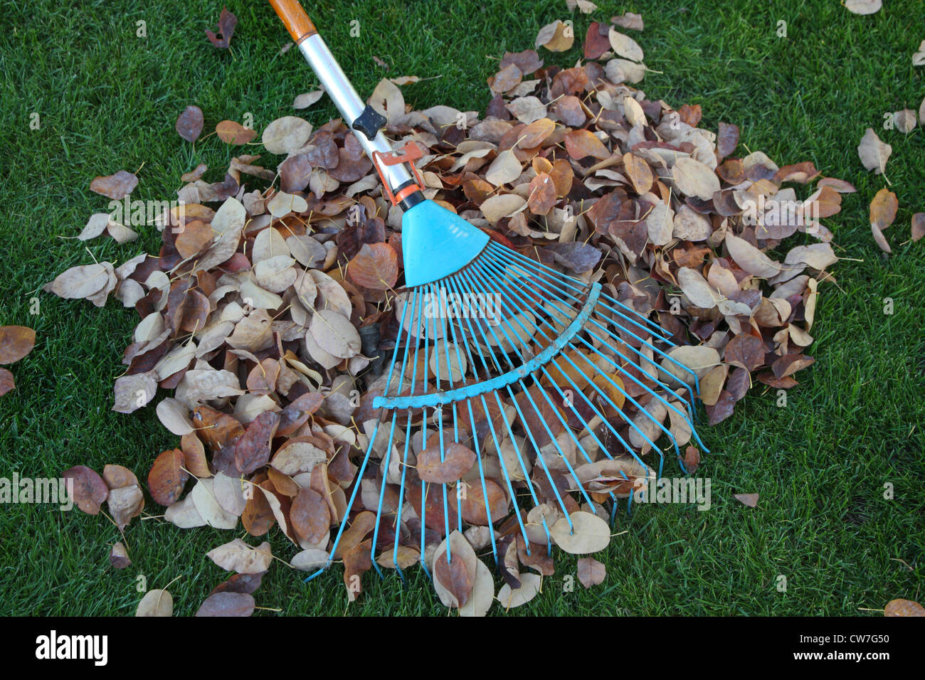 Rake hires stock photography and images Alamy