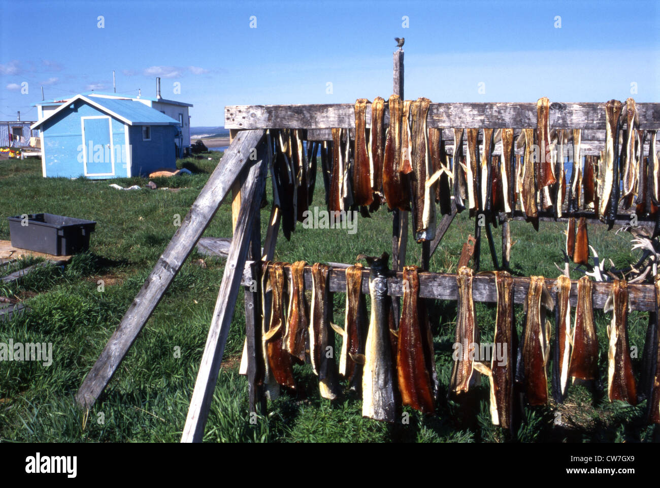 Dried fish canada hires stock photography and images Alamy