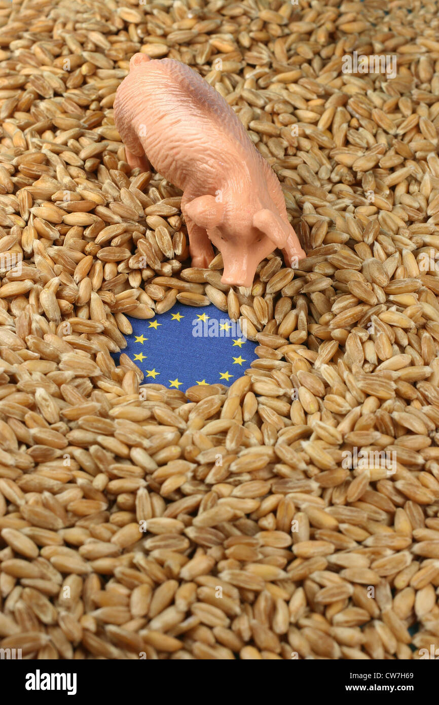 symbolic picture for agrarian subvention, the euro sign with a piggy Stock Photo