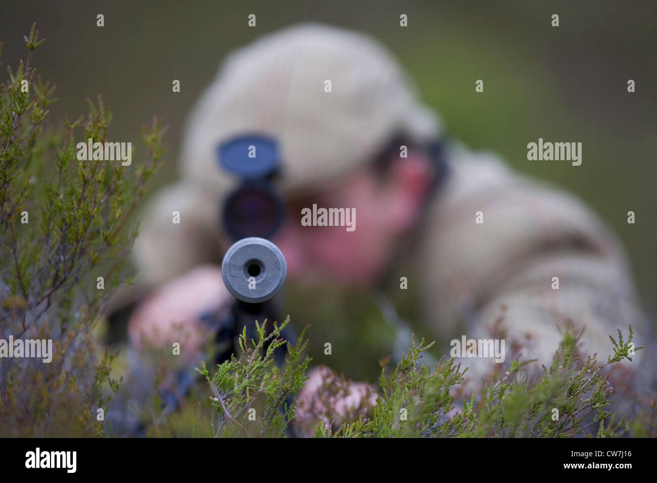 view into gun barrel of a deer stalker, United Kingdom, Scotland, Cairngorms National Park Stock Photo