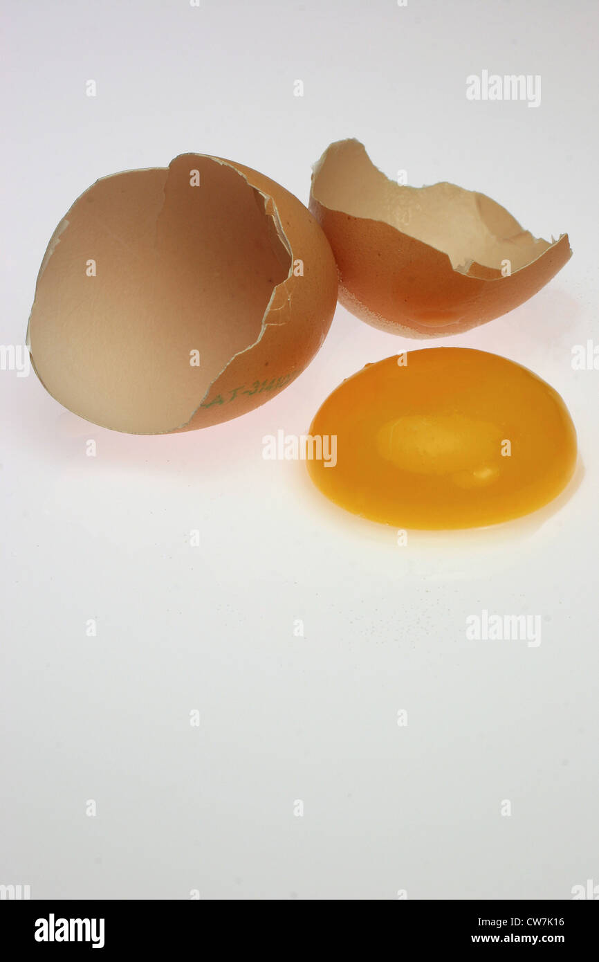 egg yolk Stock Photo