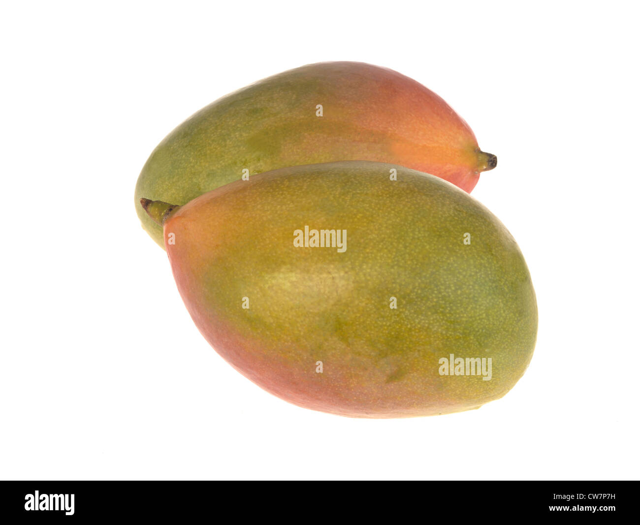 Fresh Ripe Juicy Whole Tropical Mango Fruit Against A White Background ...