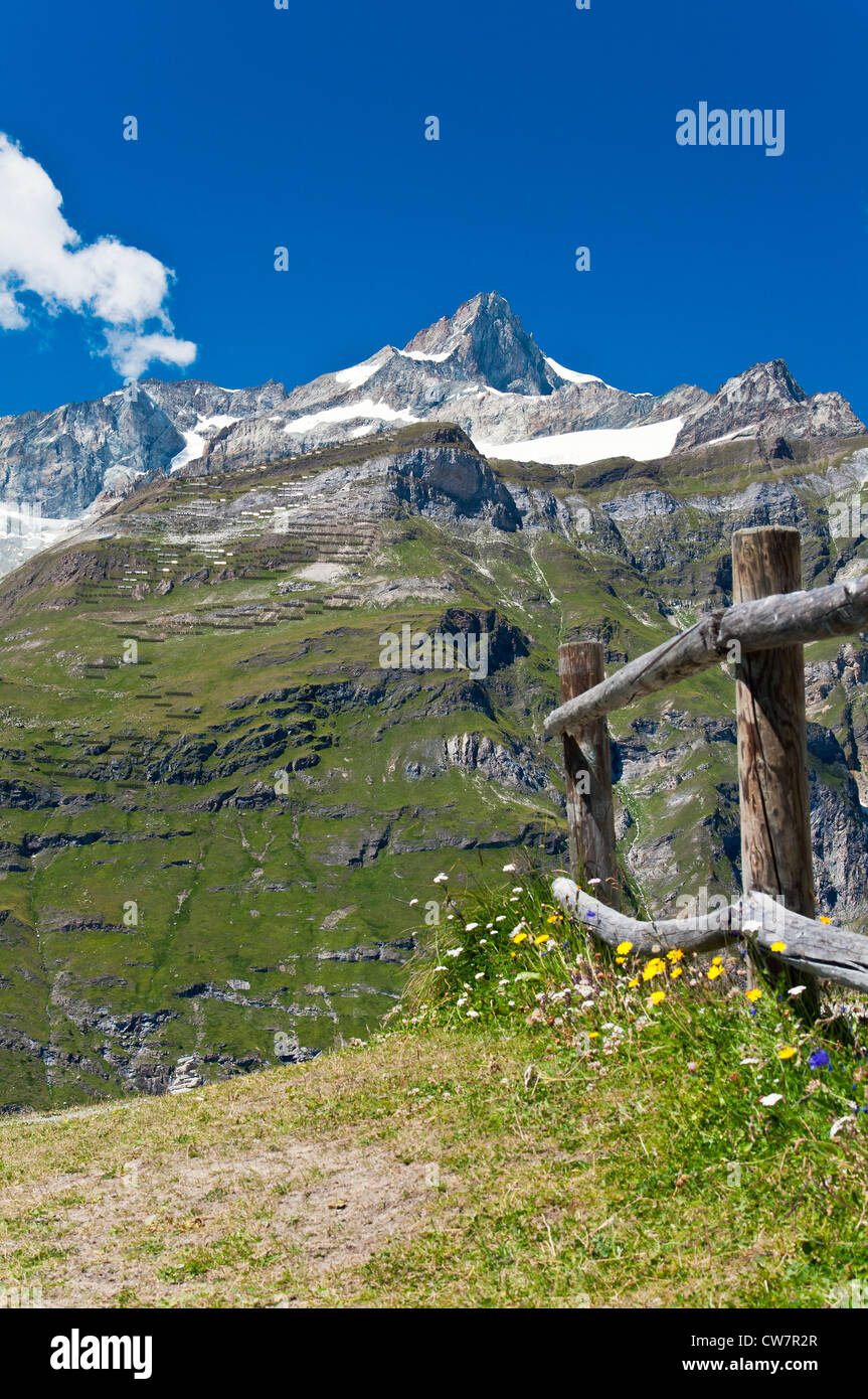 Panoramic view in summer of Swiss alps as seen from Sunnegga, Zermatt, Wallis, Switzerland Stock Photo