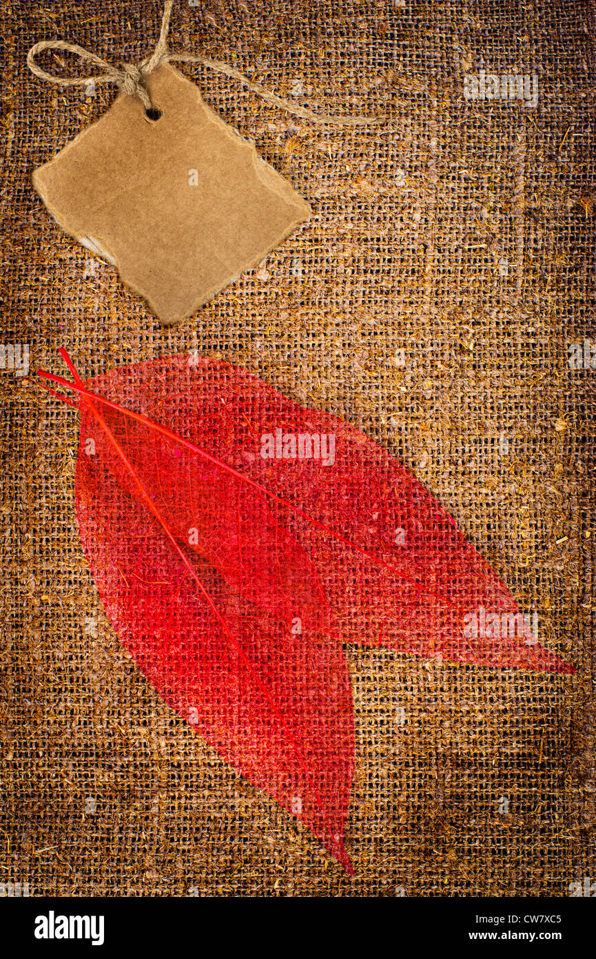 Grunge autumn background with dried leaves and cardboard on rope with space for your text on canvas Stock Photo