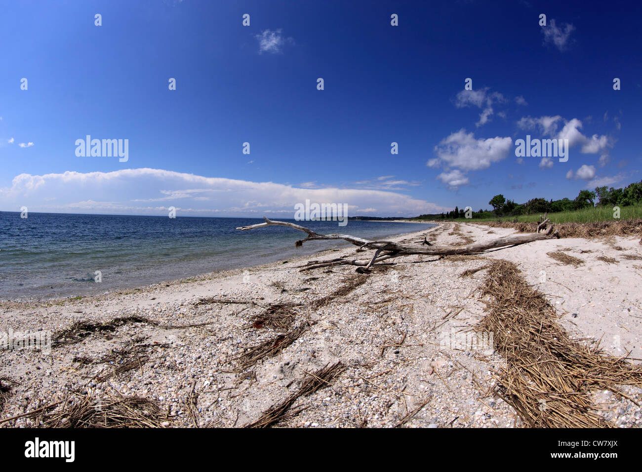 West Meadow Beach on Long Island Sound Stony Brook New York Stock Photo Alamy