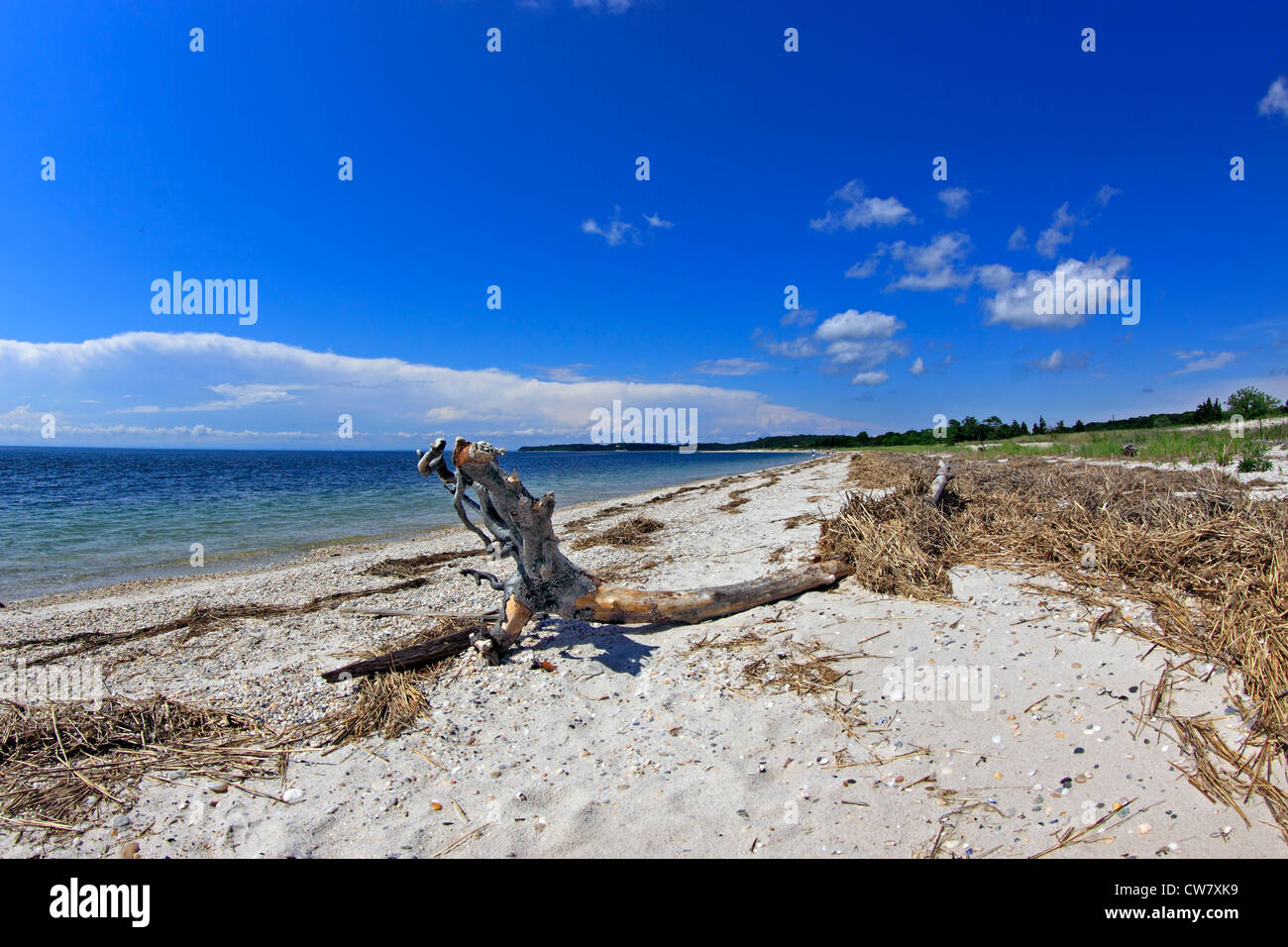 West meadow beach on hi res stock photography and images Alamy West meadow beach on hi res stock photography and images Alamy