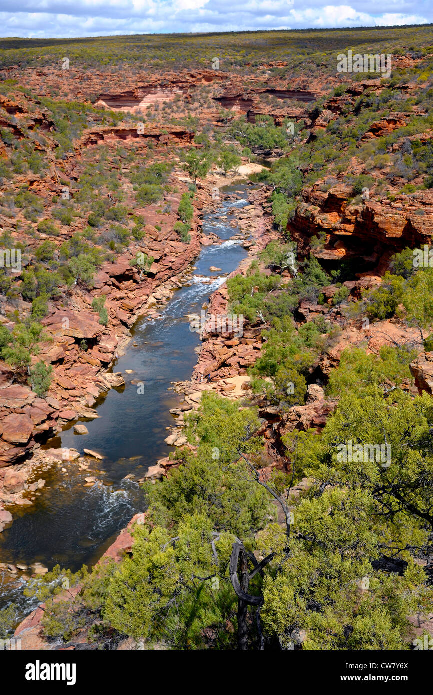 Murchison River flows through the Kalbarri National Park Western Australia Stock Photo
