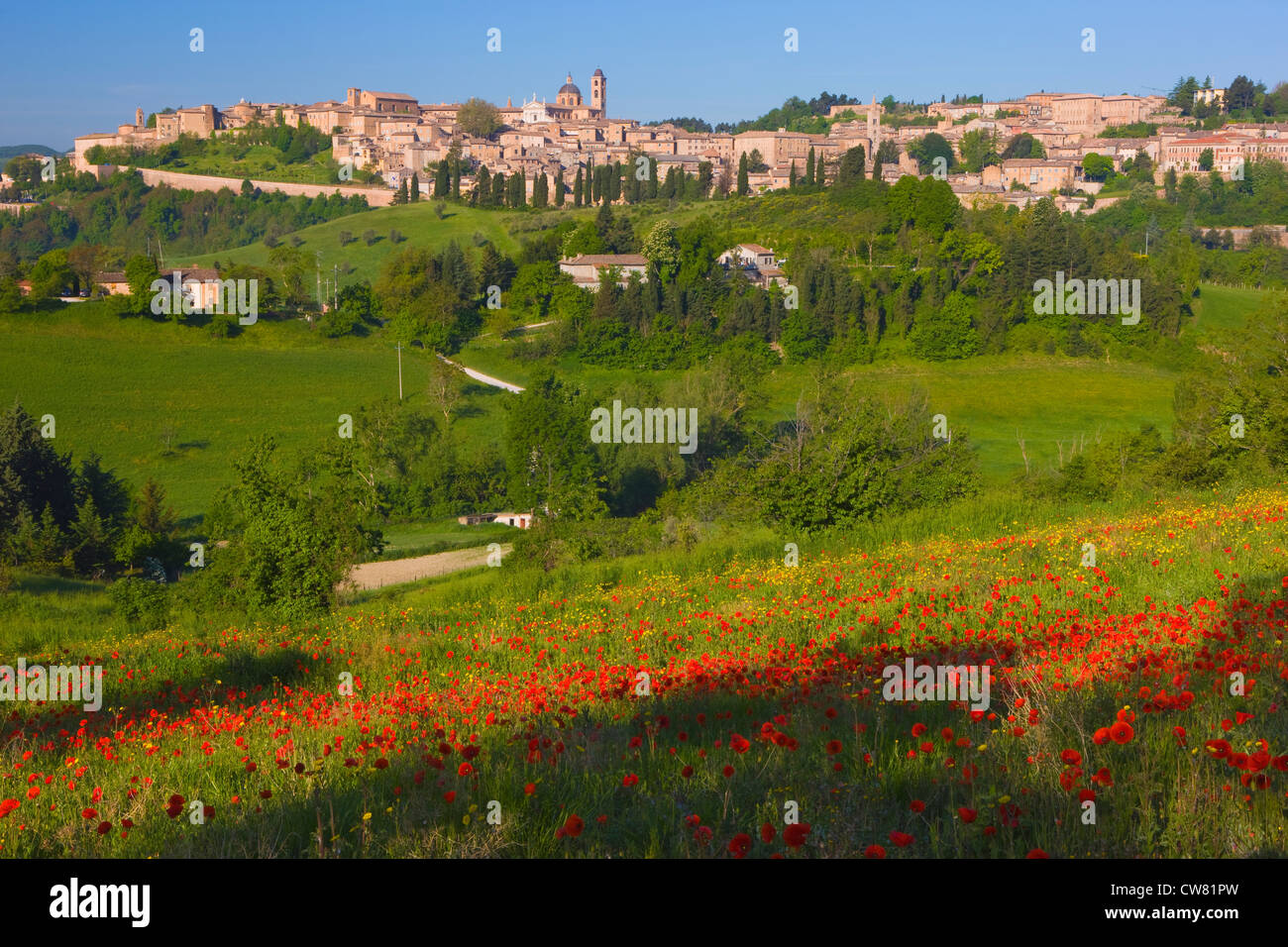 View of Urbino, Marche, Italy Stock Photo