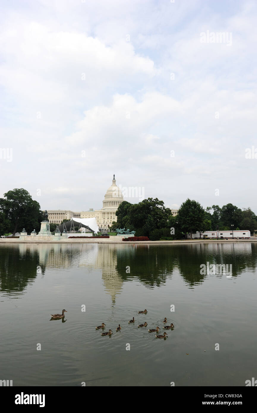 View of the Capitol in Washington DC with ducks in the foreground Stock Photo