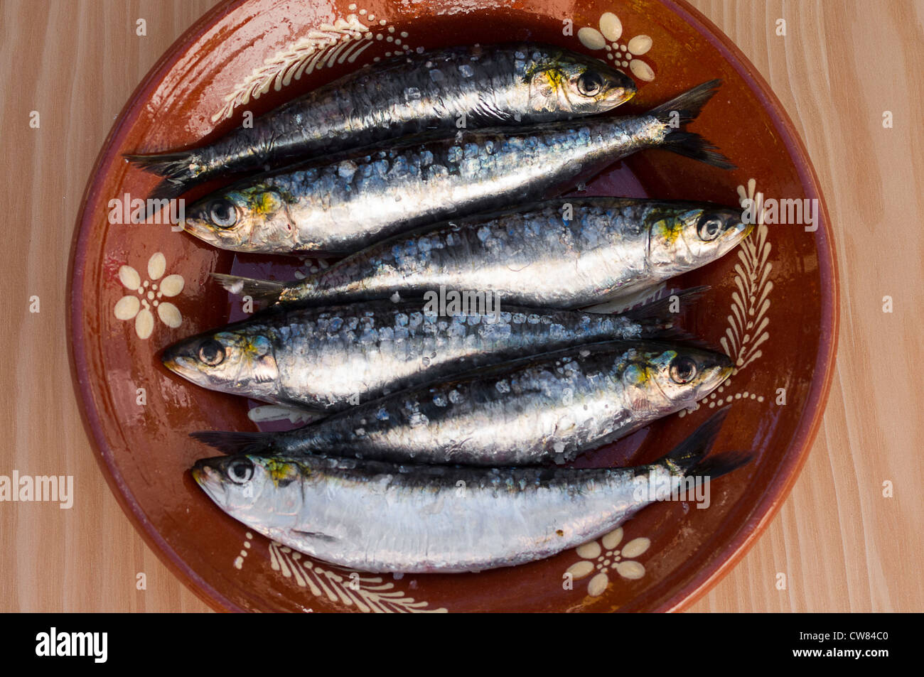 Fresh sardines in a great plate with amazing light Stock Photo Alamy