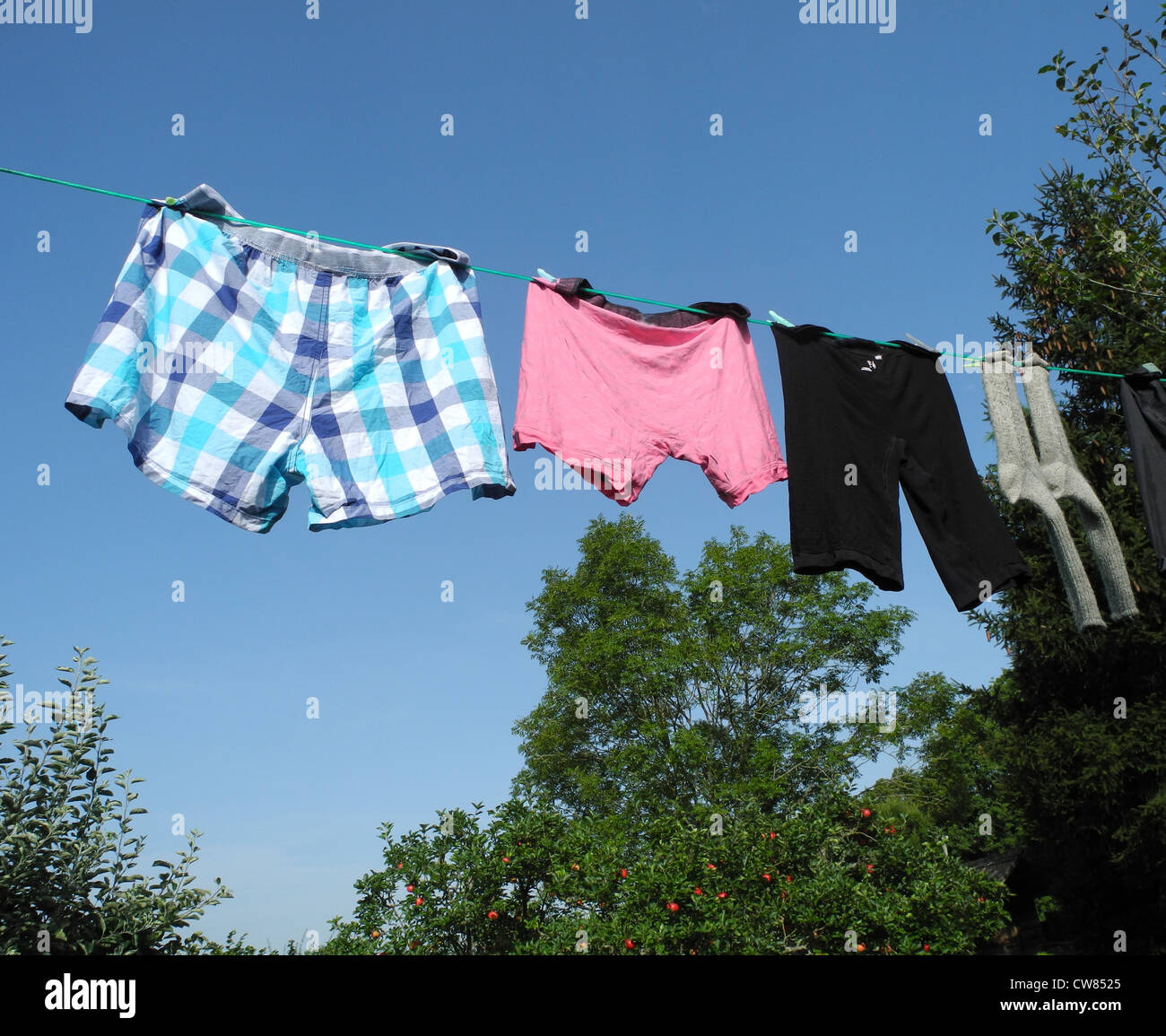 Men's pants - underpants - on a washing line to dry Stock Photo