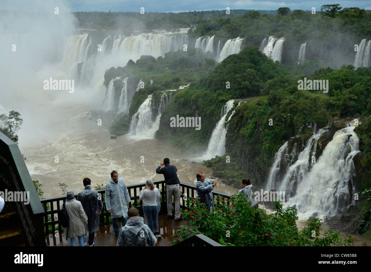 Iguasu Falls in Brazil. One of the biggest waterfalls in the world with many different cascades creating a spectacular scene. Stock Photo