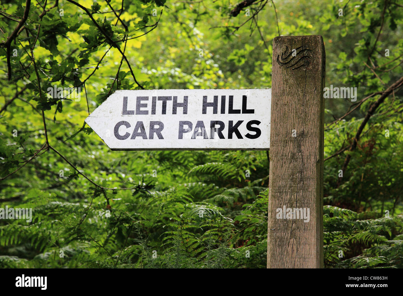 Leith Hill Car Park sign in Coldharbour, Surrey Hills, England Stock