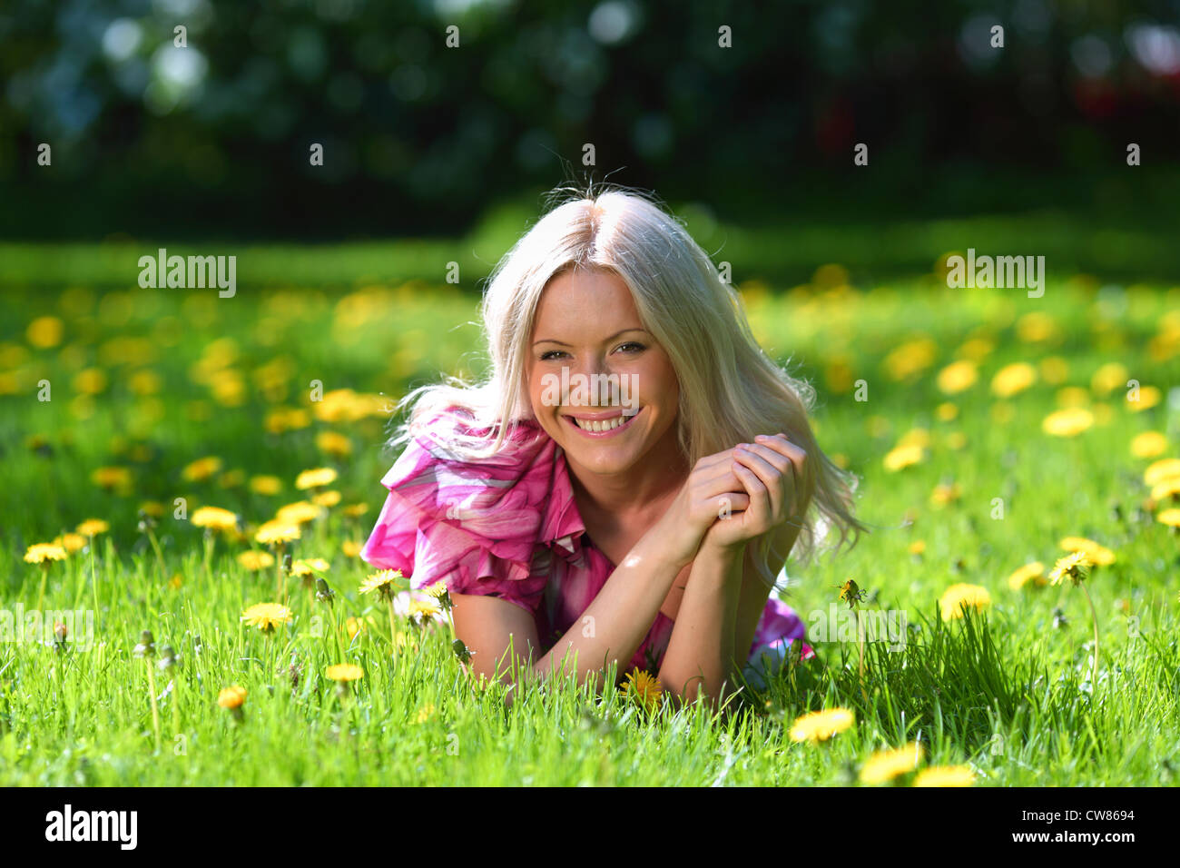 girl lying on the field of dandelions Stock Photo - Alamy