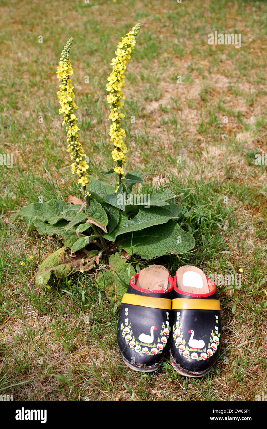 Swedish handpainted clogs Stock Photo