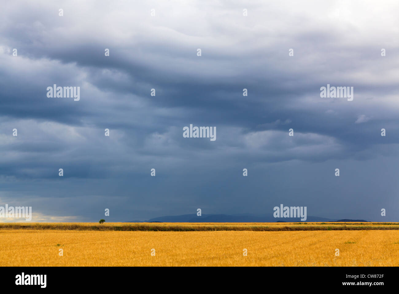 Farmland landscape. Lleida. Catalonia. Spain. Stock Photo