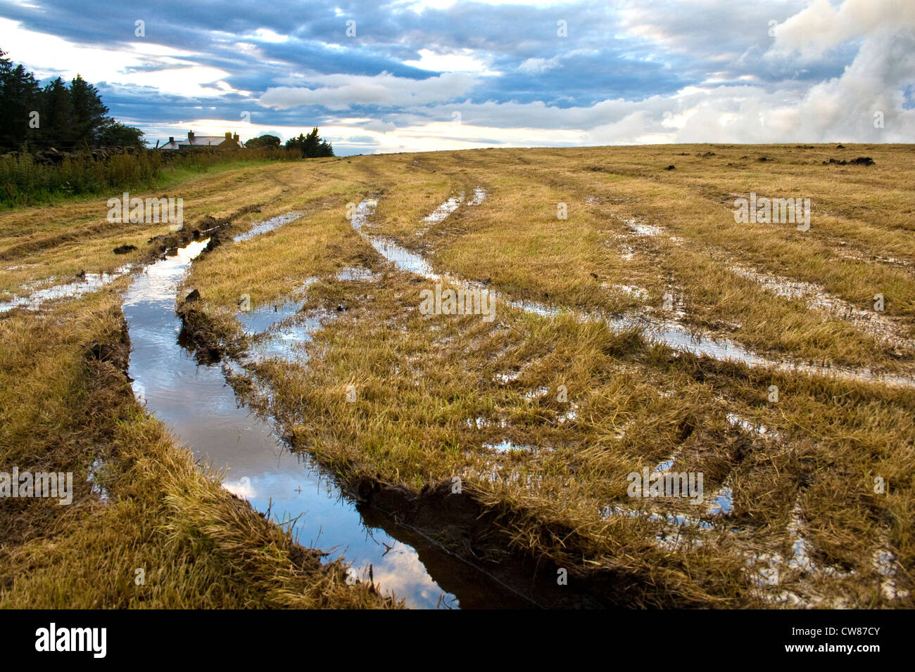 wheel ruts in a wet field after hay making Stock Photo
