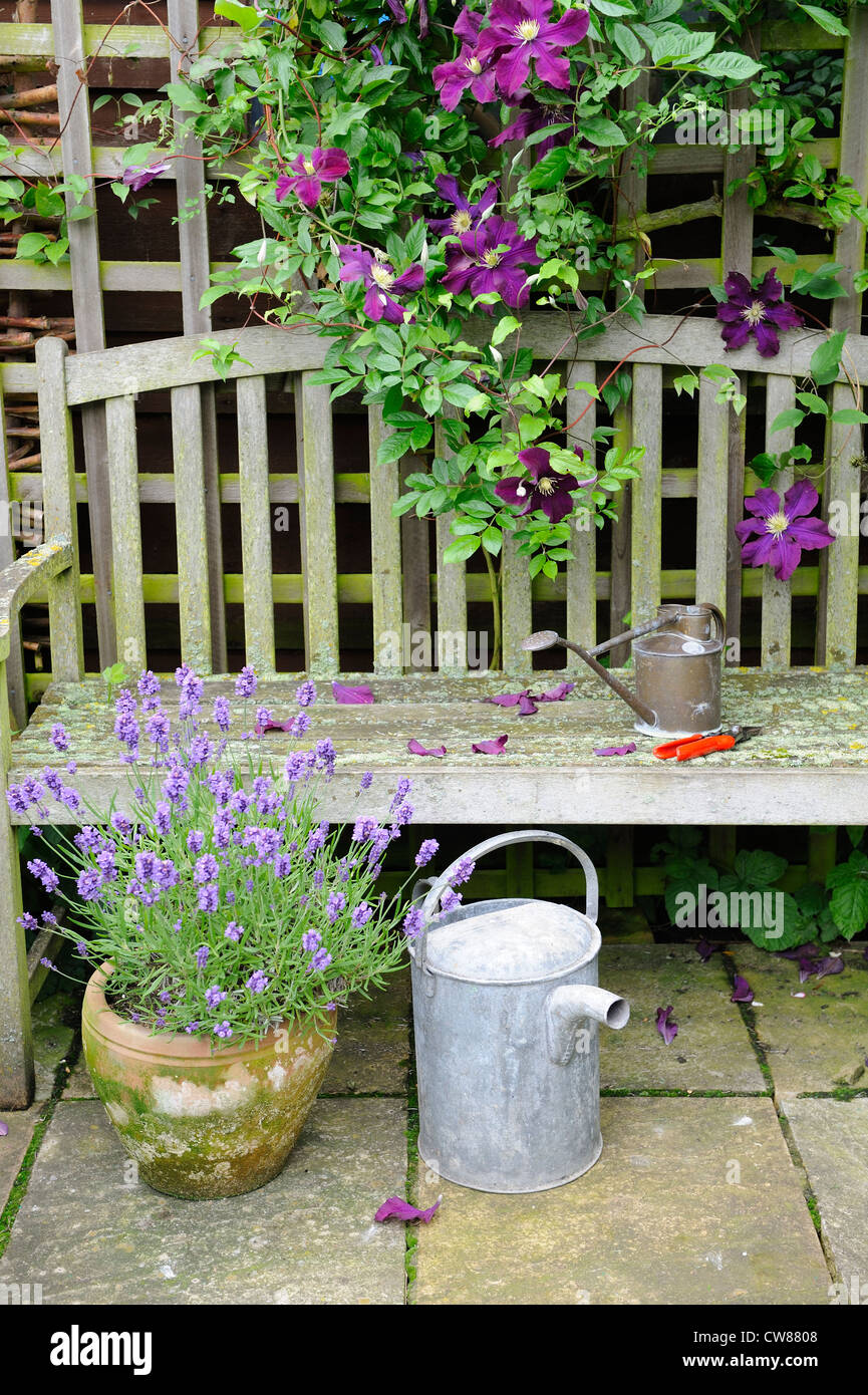 garden bench with clematis, 'warsaw nike', container grown lavendar and garden tools, England, June Stock Photo