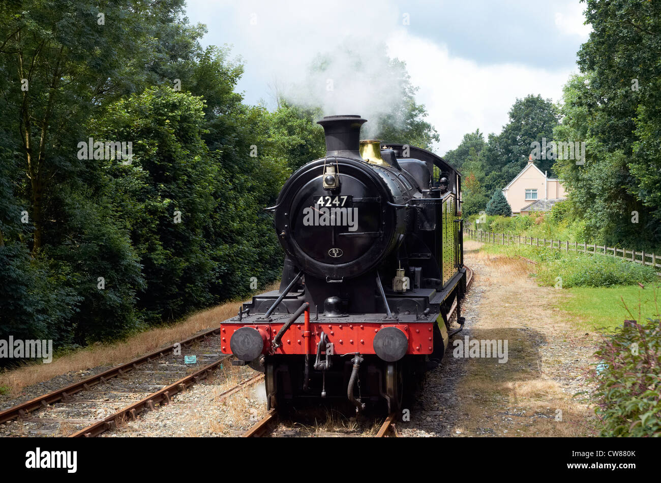 Bodmin & Wenford Railway, Cornwall, England. GWR tank engine running round its  train at Wenford. Stock Photo