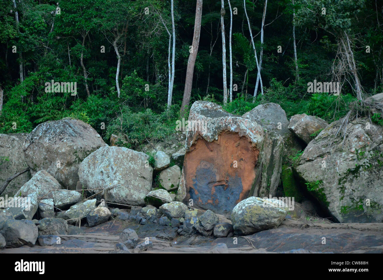 Madidi national park, Bolivia, South America Stock Photo - Alamy