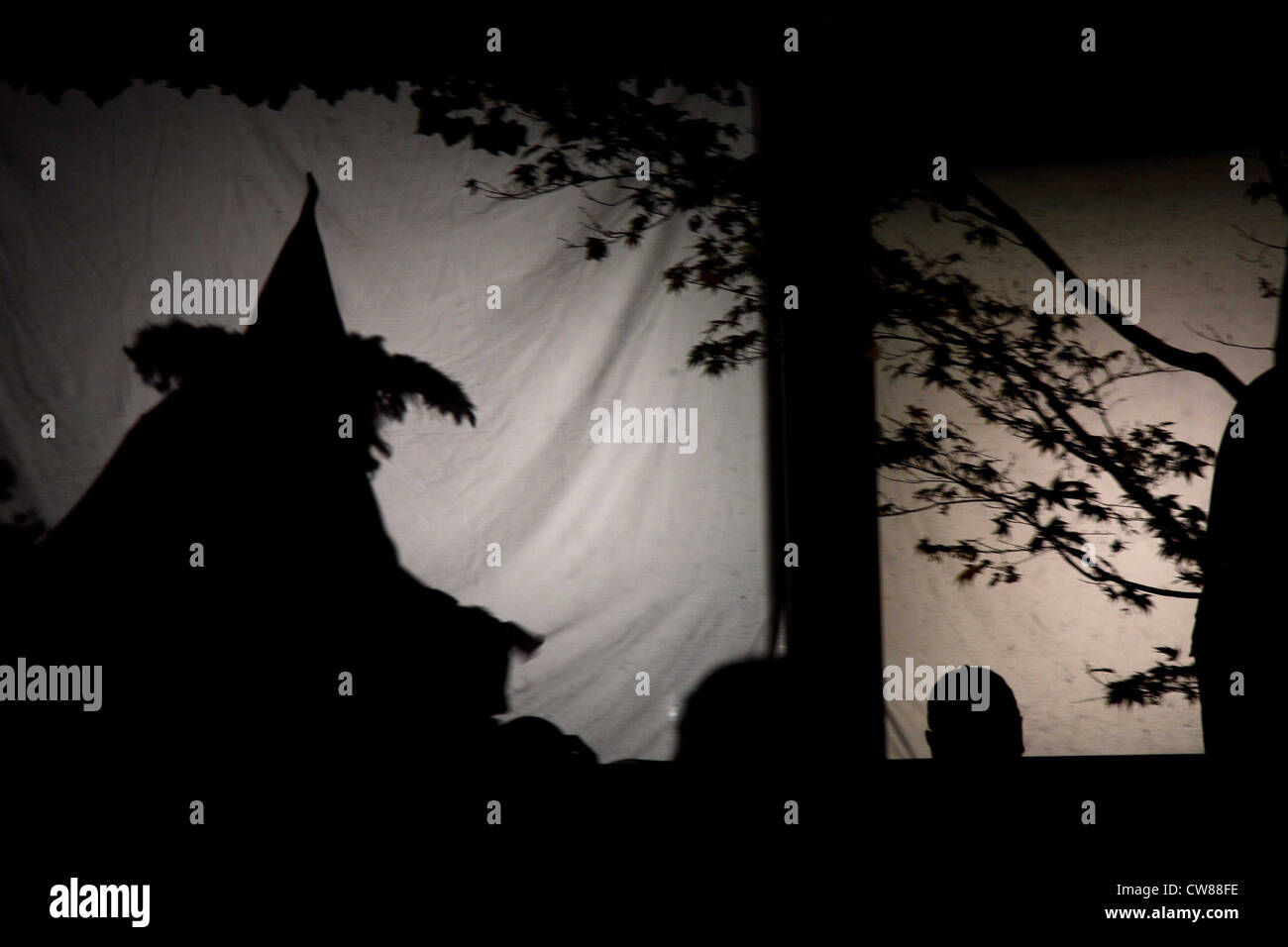 Witchy silhouette for Halloween. Stock Photo