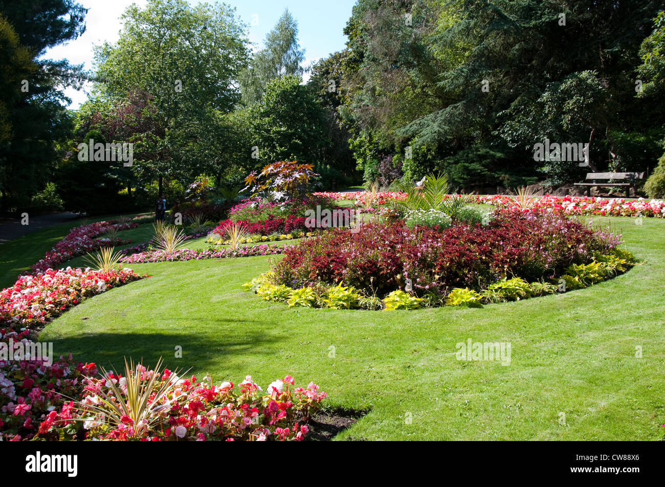 Flowers at the Arboretum Park in Nottingham City, Nottinghamshire