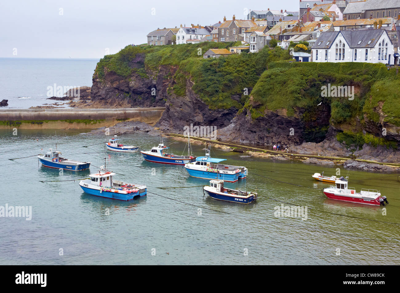 Port Isaac. Cornwall showing harbour and houses. 'Doc Martin' school