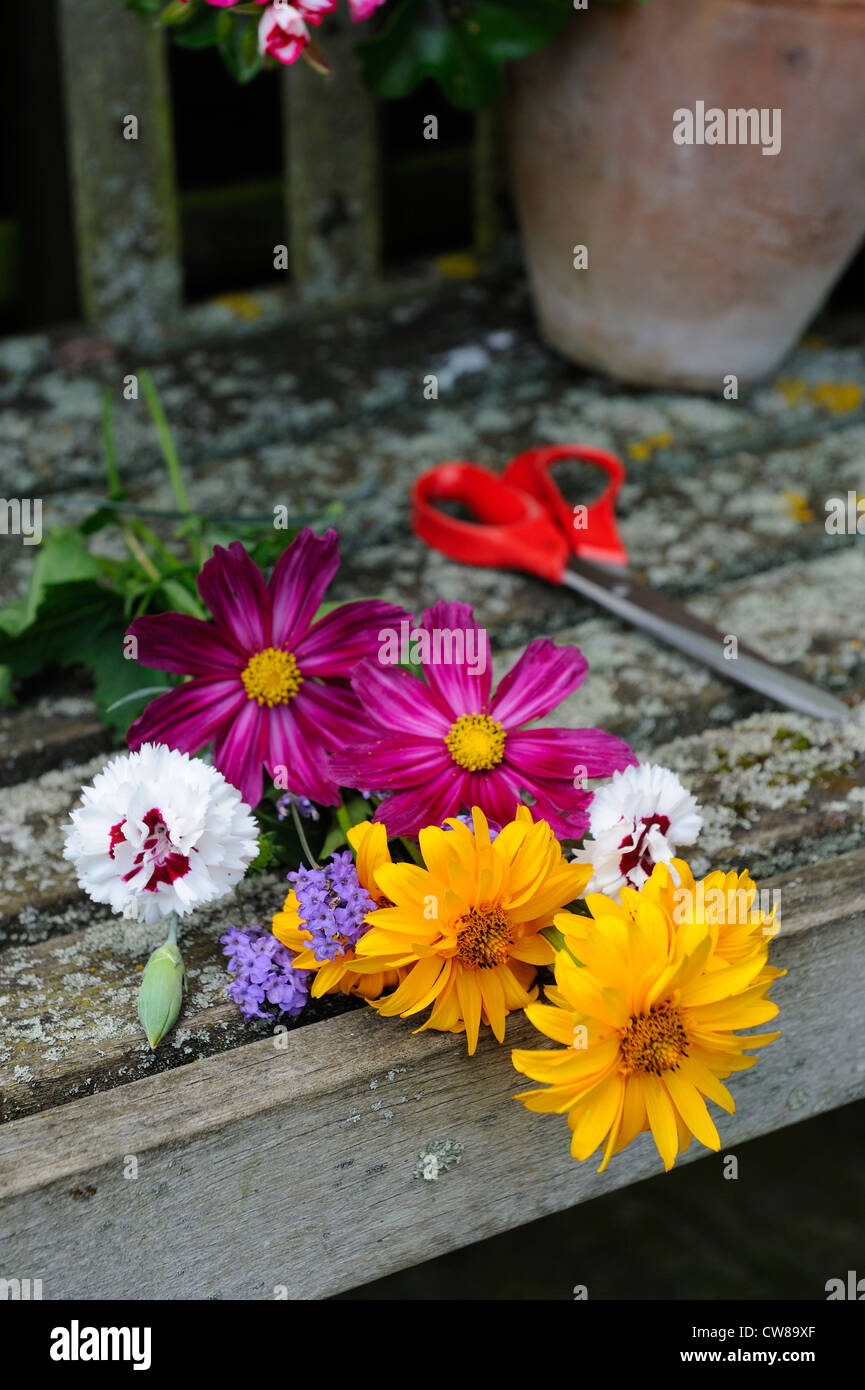 Garden seat with cut summer flowers and scissors Stock Photo