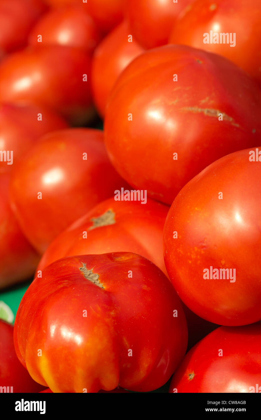New Jersey Beefsteak Tomatoes Stock Photo Alamy